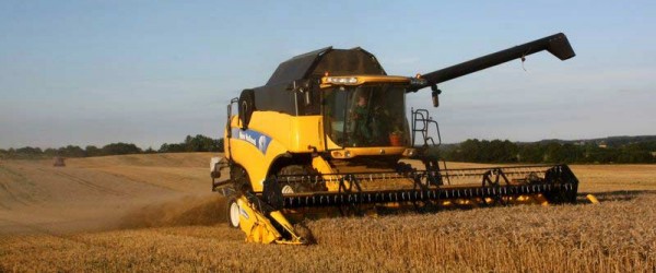 Mähdrescher bei der Ernte