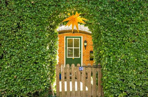 Im Bogen geschnittene Hecke.