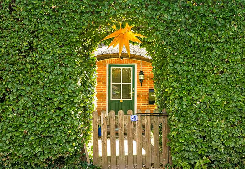 Im Bogen geschnittene Hecke.