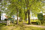 Die Karl-Schmidt-Rottluff-Allee in Sierksdorf im Frühjahr.