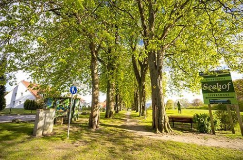 Die Karl-Schmidt-Rottluff-Allee in Sierksdorf im Frühjahr.