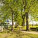 Die Karl-Schmidt-Rottluff-Allee in Sierksdorf im Frühjahr.
