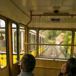 Blick aus der Standseilbahn Dresden während der Fahrt.