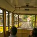 Blick aus der Standseilbahn Dresden während der Fahrt.