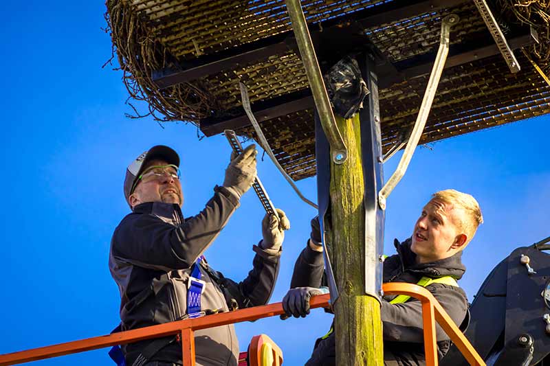 Sven (links) und Jan Michel befestigten das Storchennest an der Plattform.