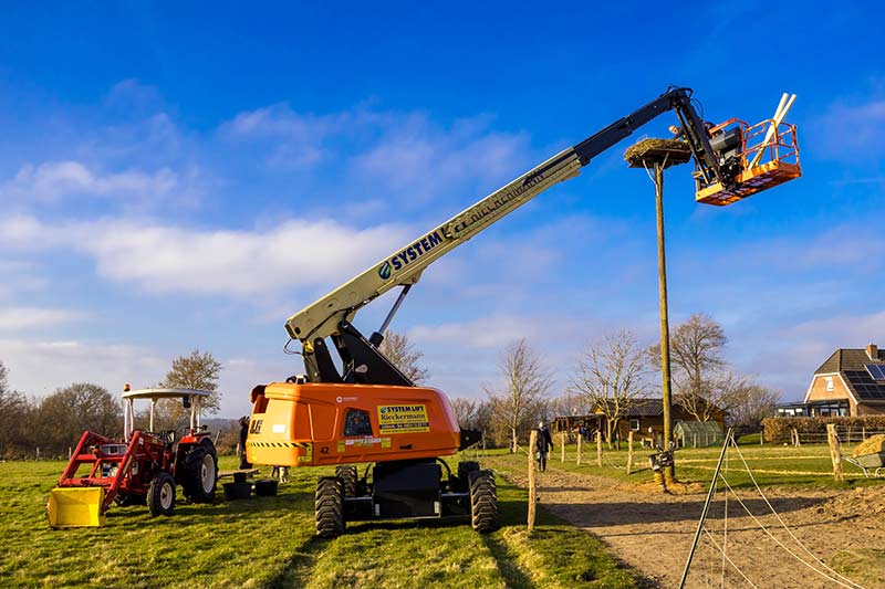 Ein Hubsteiger hievt ein Storchennest auf einen Pfahl.