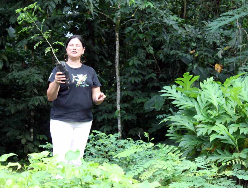 Biologin Xinia Vargas in der Baumschule des Ecocentro Danaus im Arenal-Nationalpark.